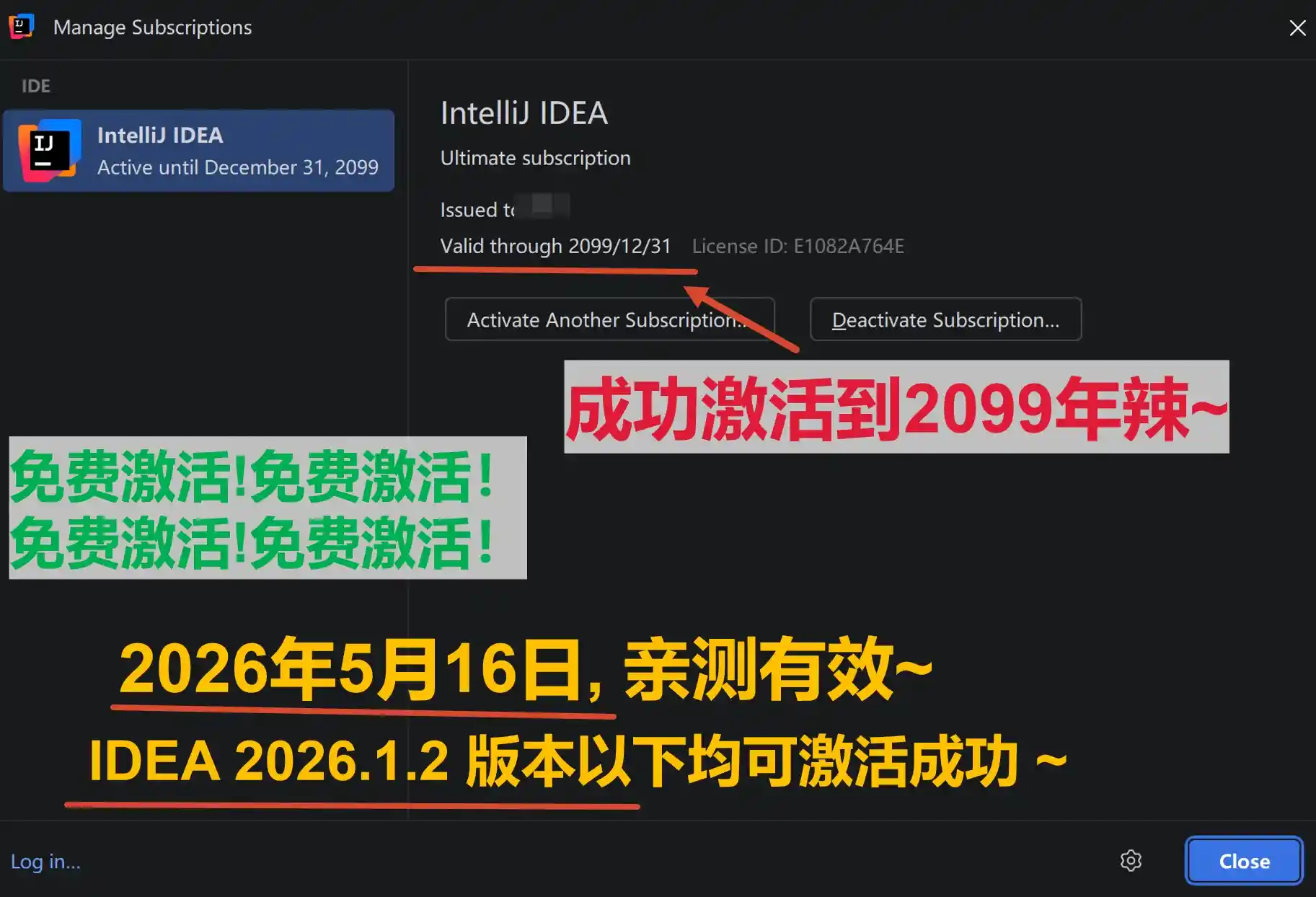 IDEA 2026.1.2 版本成功激活到 2099 年截图