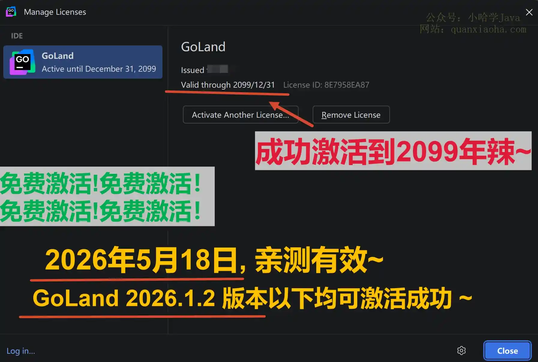 GoLand 2026.1.2 版本成功截图