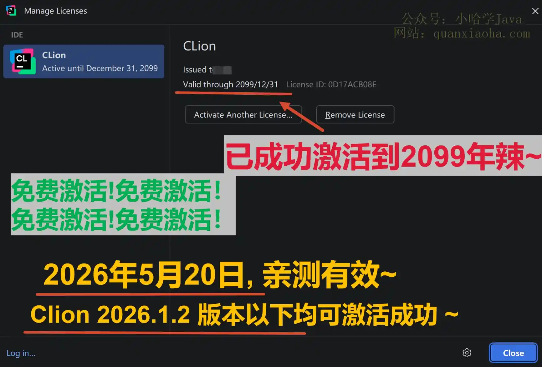 Clion 2026.1.2 版本成功截图