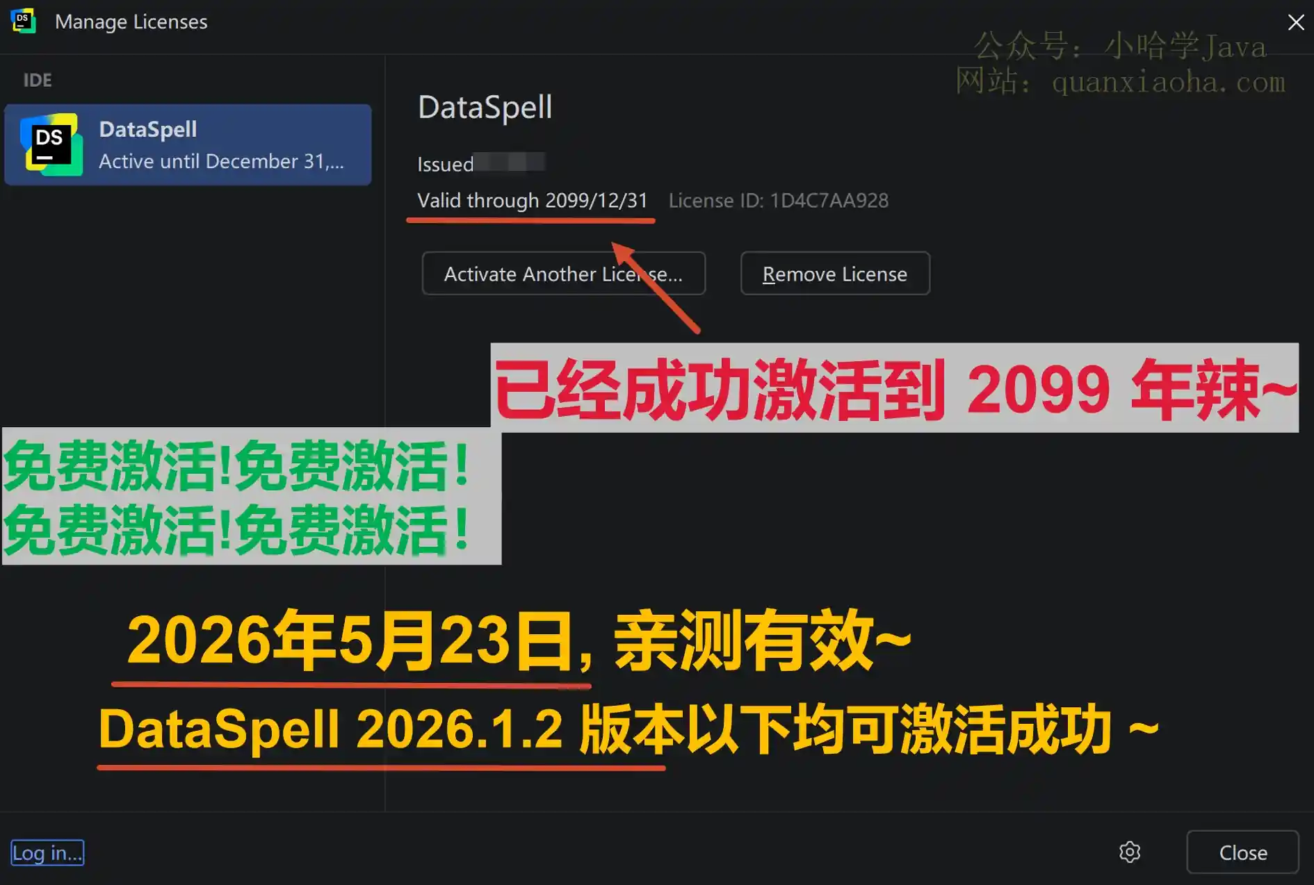 DataSpell 2026.1.2 版本成功激活到 2099 年截图