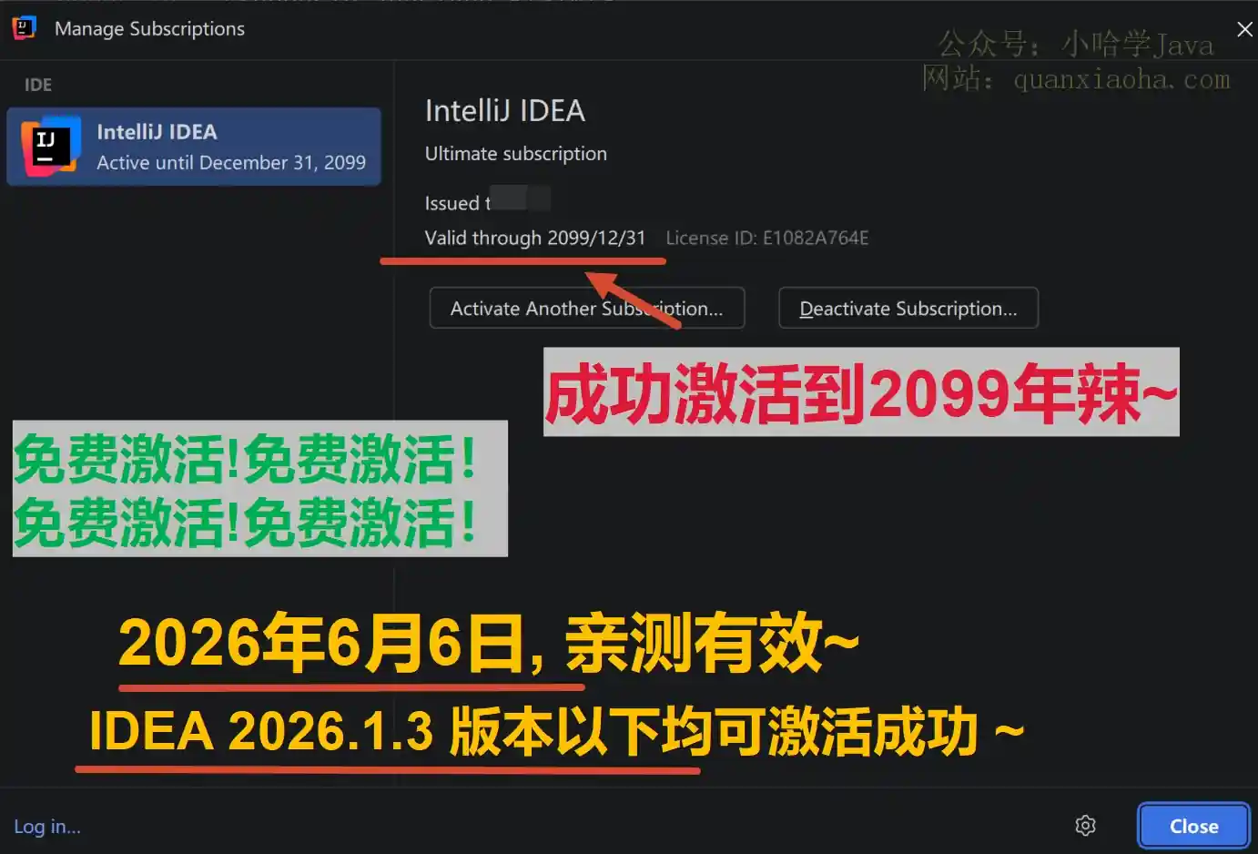 IDEA 2026.1.3 版本成功激活到 2099 年截图