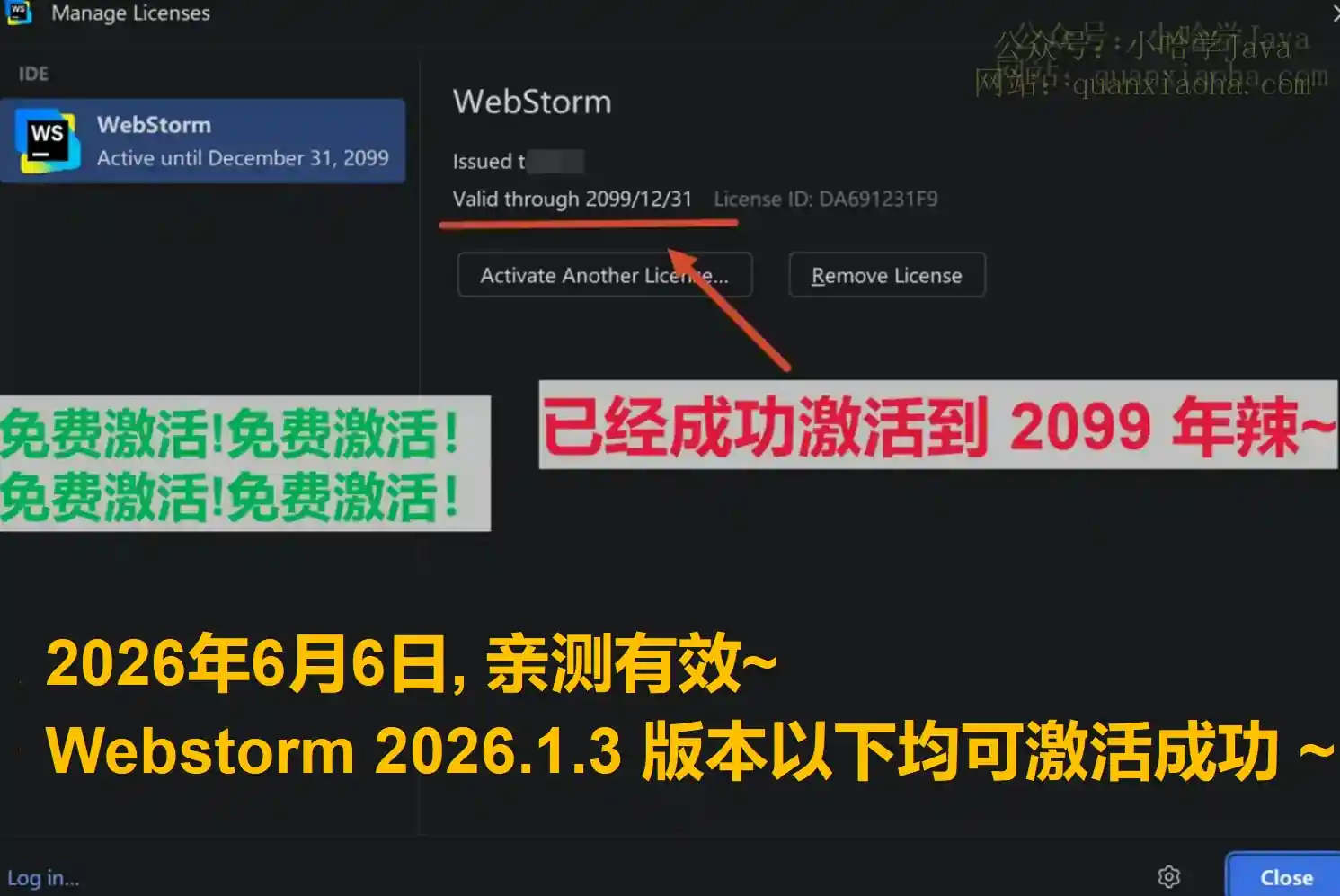 Webstorm 2026.1.3 版本成功激活到 2099 年截图