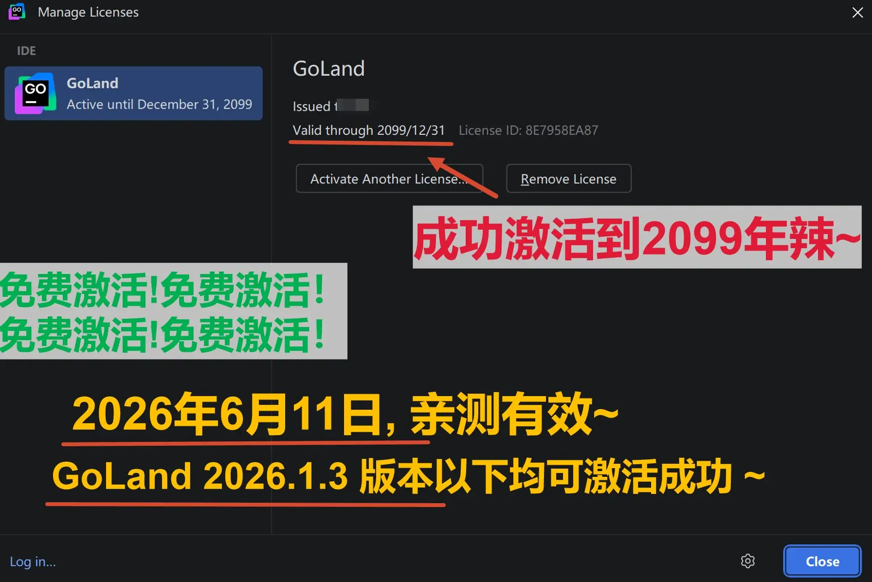 GoLand 2026.1.3 版本成功截图