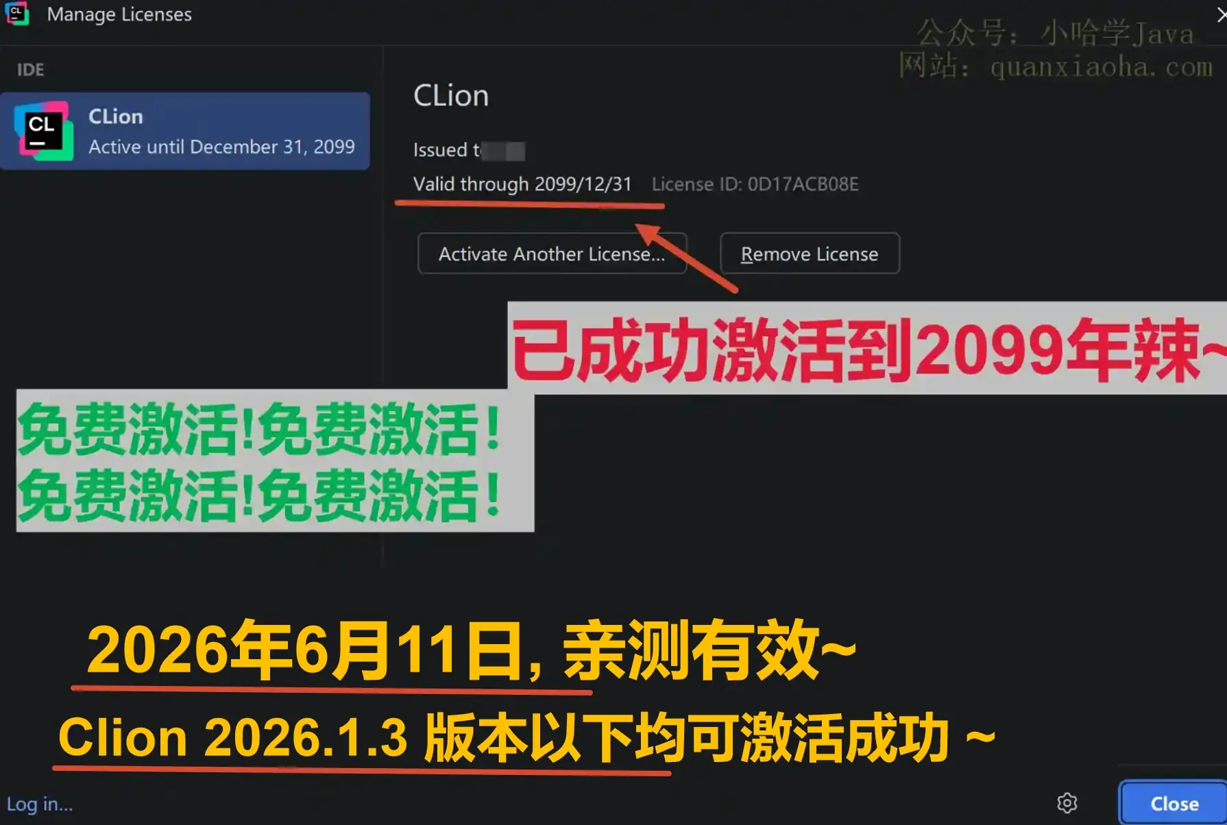 Clion 2026.1.3 版本成功截图