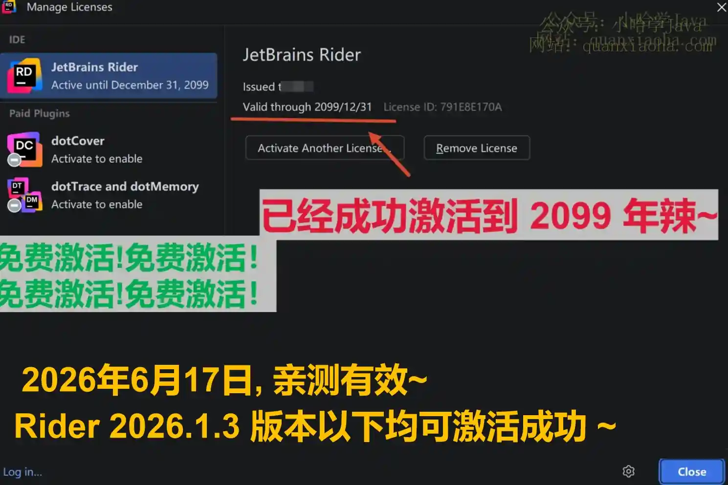 Rider 2026.1.3 版本成功截图