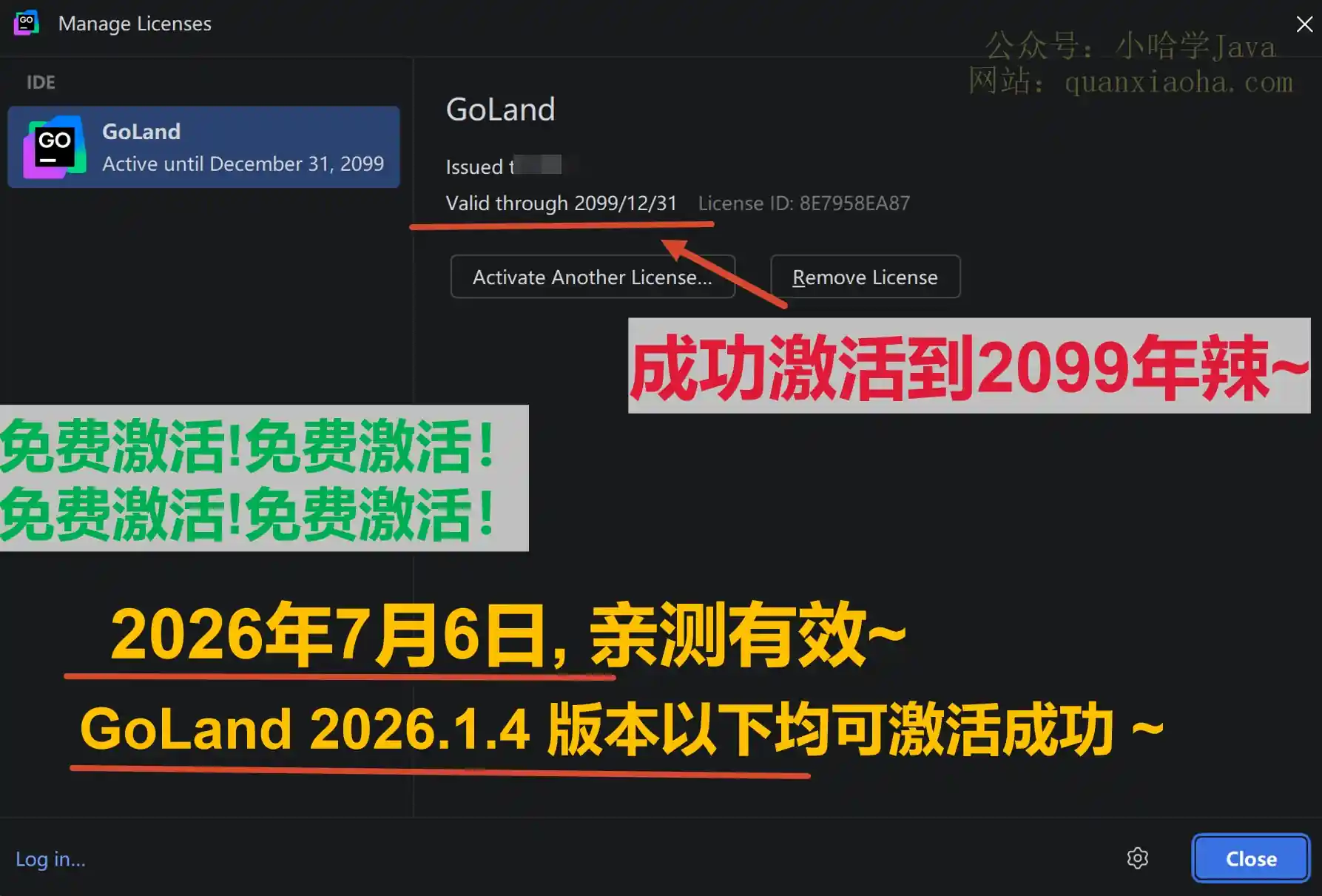 GoLand 2026.1.4 版本成功截图