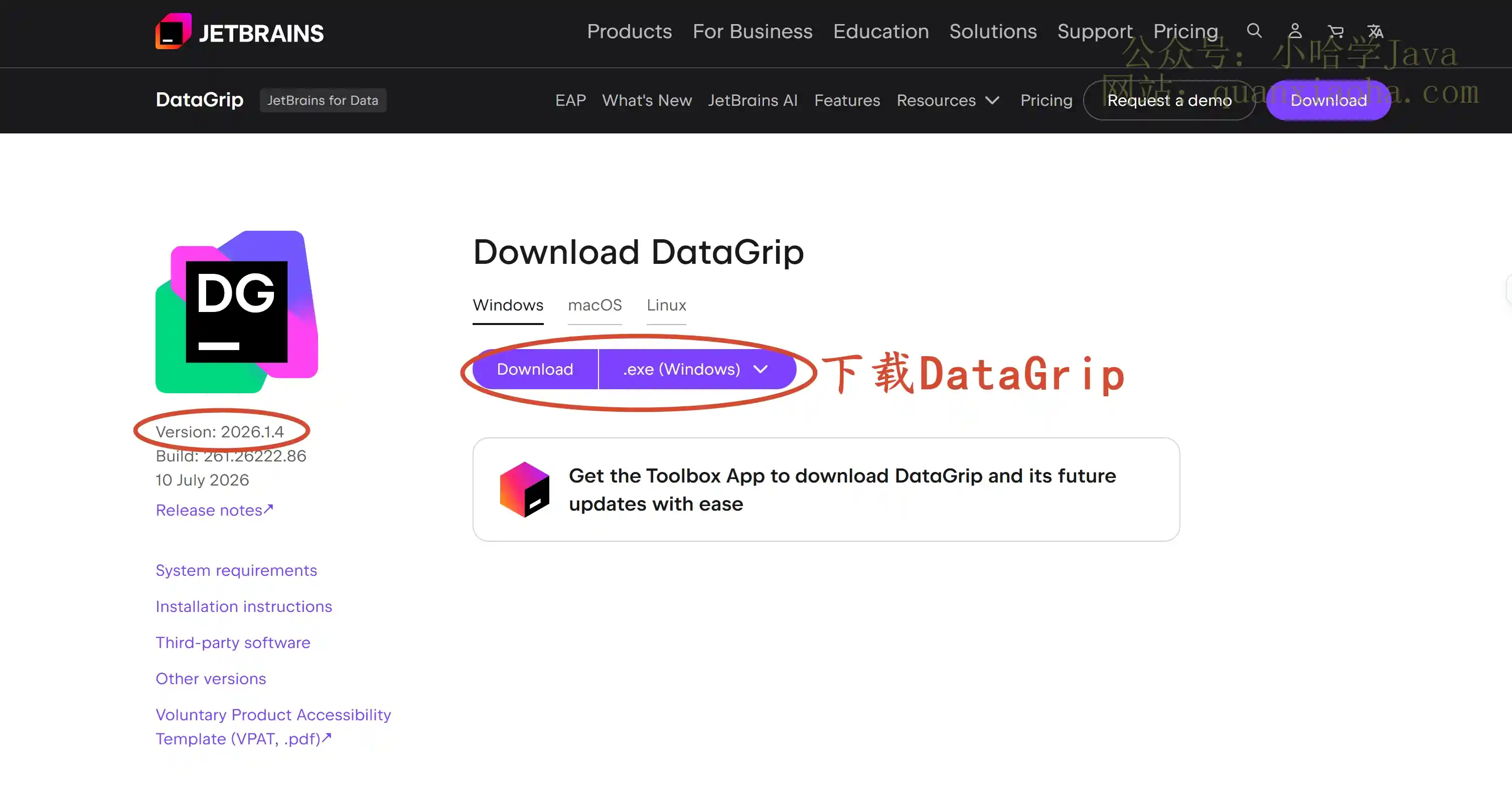 下载 DataGrip 2026.1.4 版本安装包