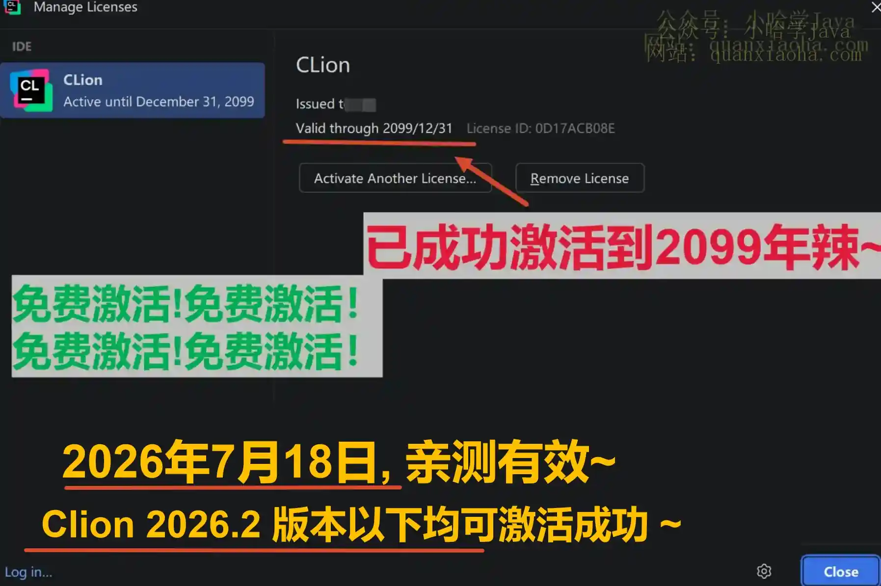 Clion 2026.2 版本成功截图