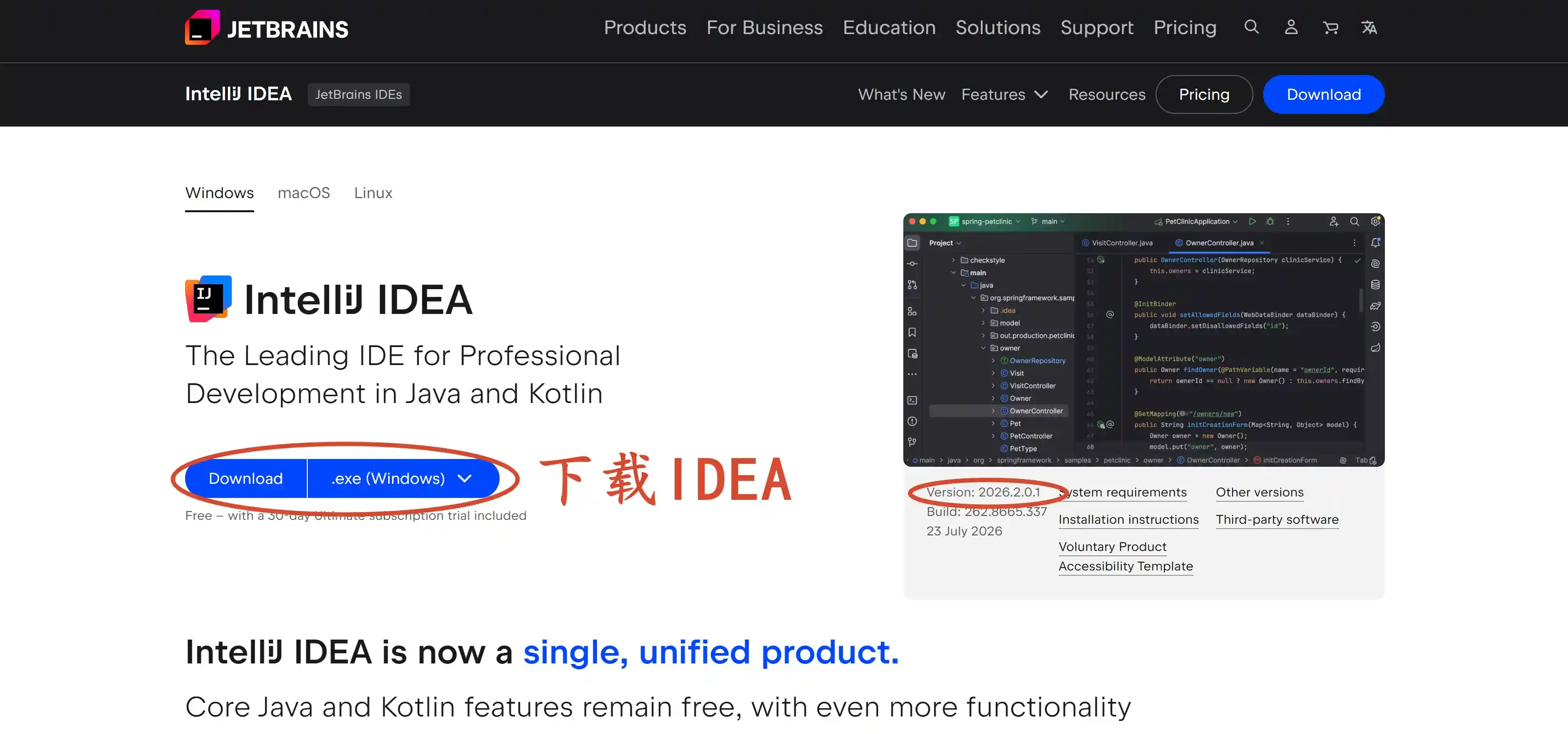 下载 IDEA 2026.2.0.1 版本安装包