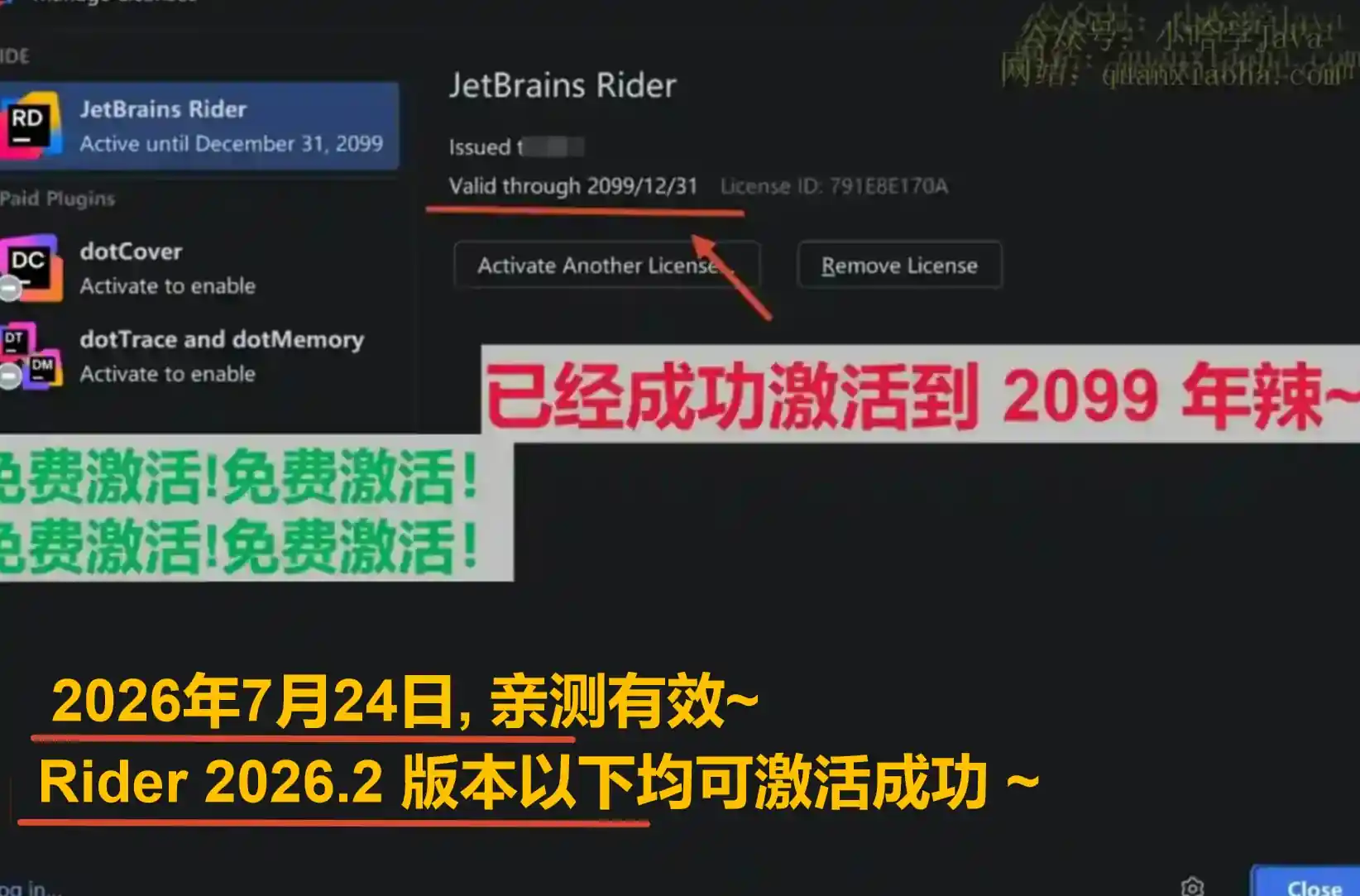 Rider 2026.2 版本成功截图