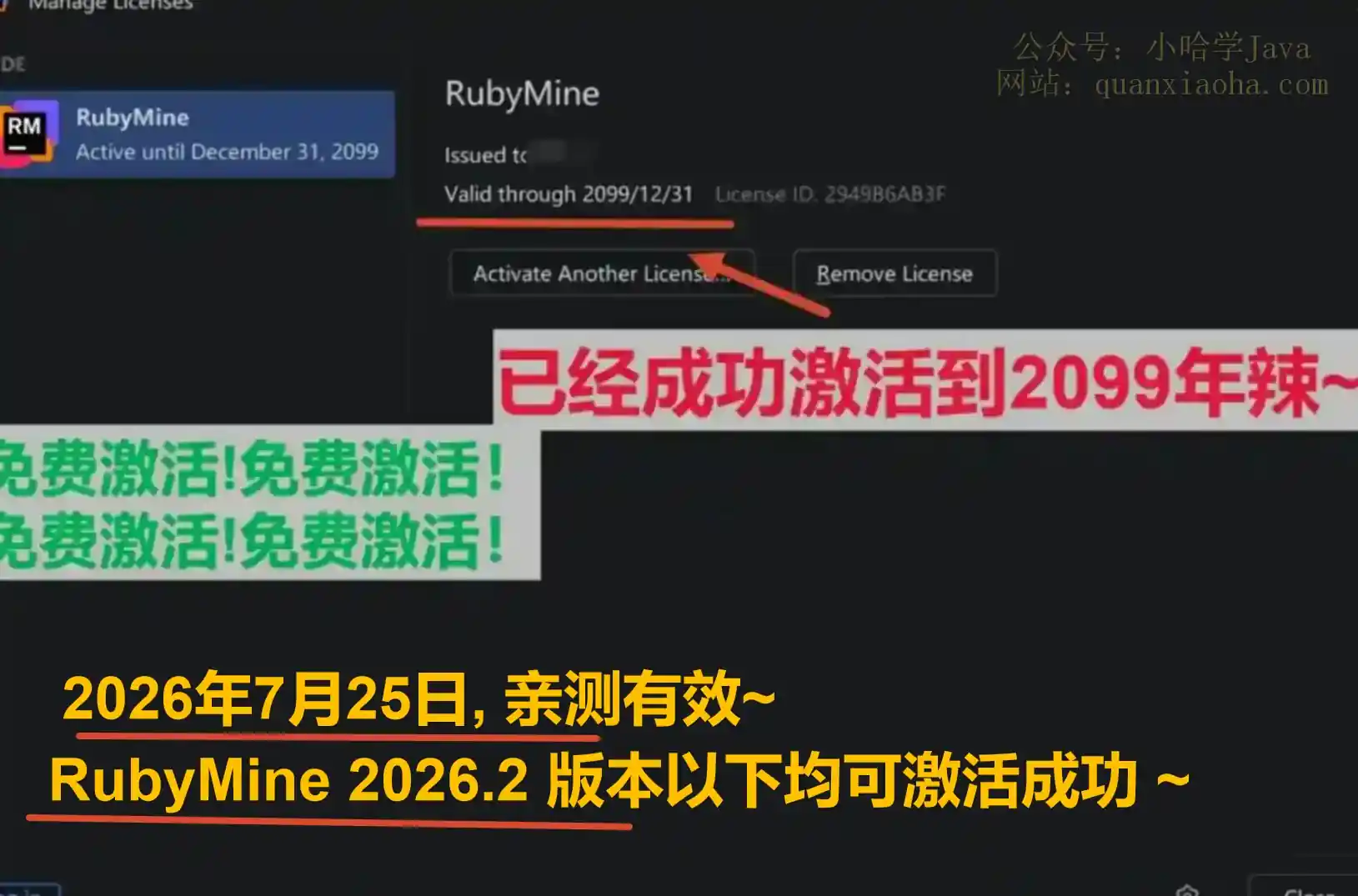 RubyMine 2026.2 版本成功截图
