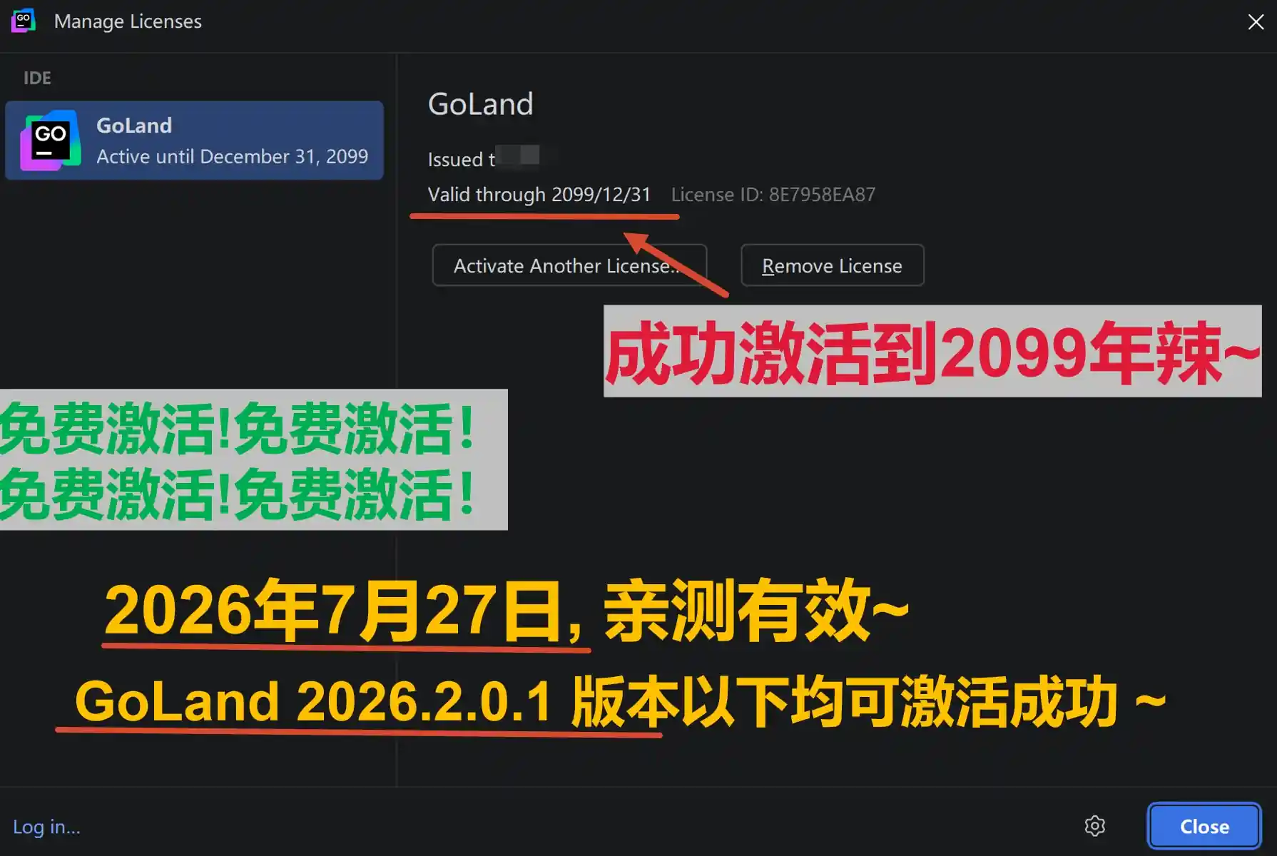 GoLand 2026.2.0.1 版本成功截图