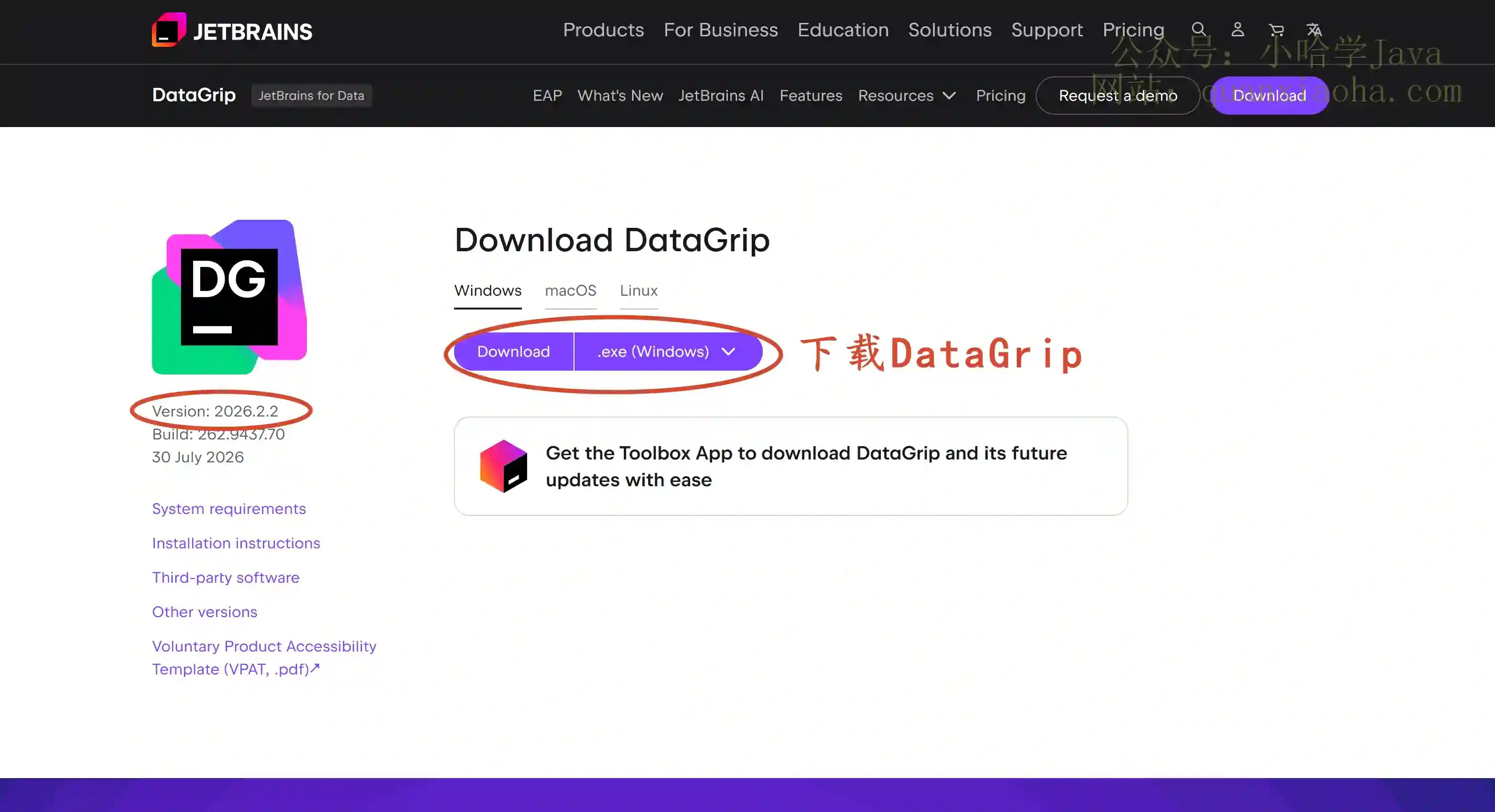 下载 DataGrip 2026.2.2 版本安装包