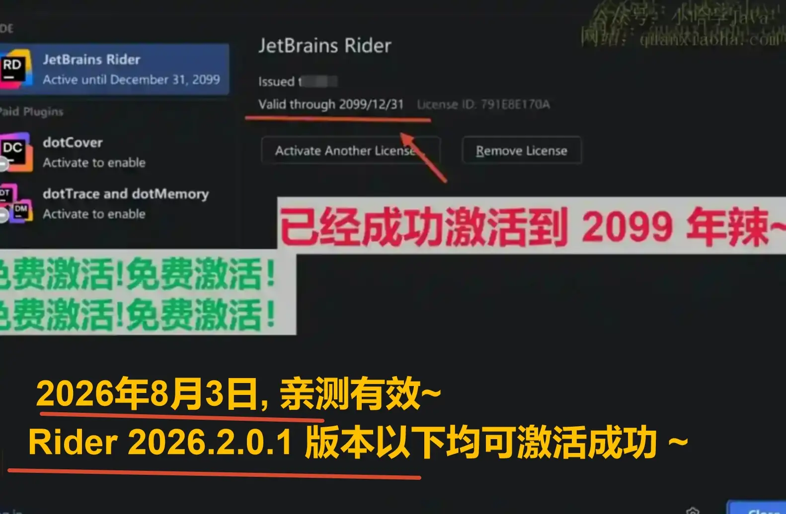 Rider 2026.2.0.1 版本成功截图