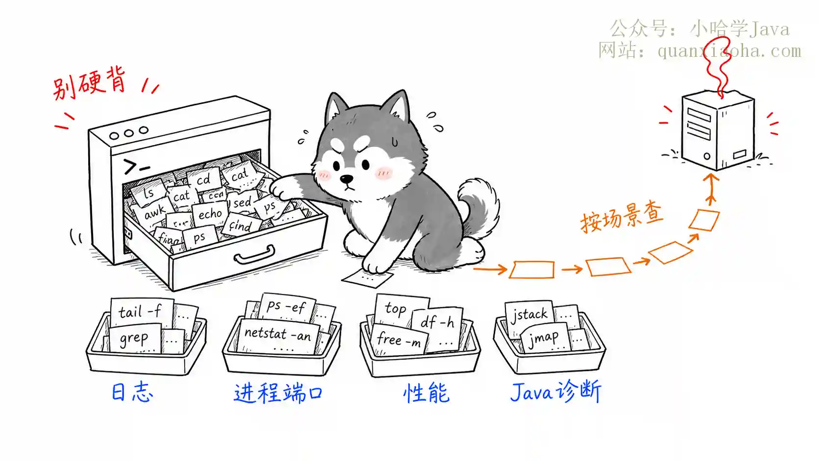 你掌握哪些 Linux 常用命令？