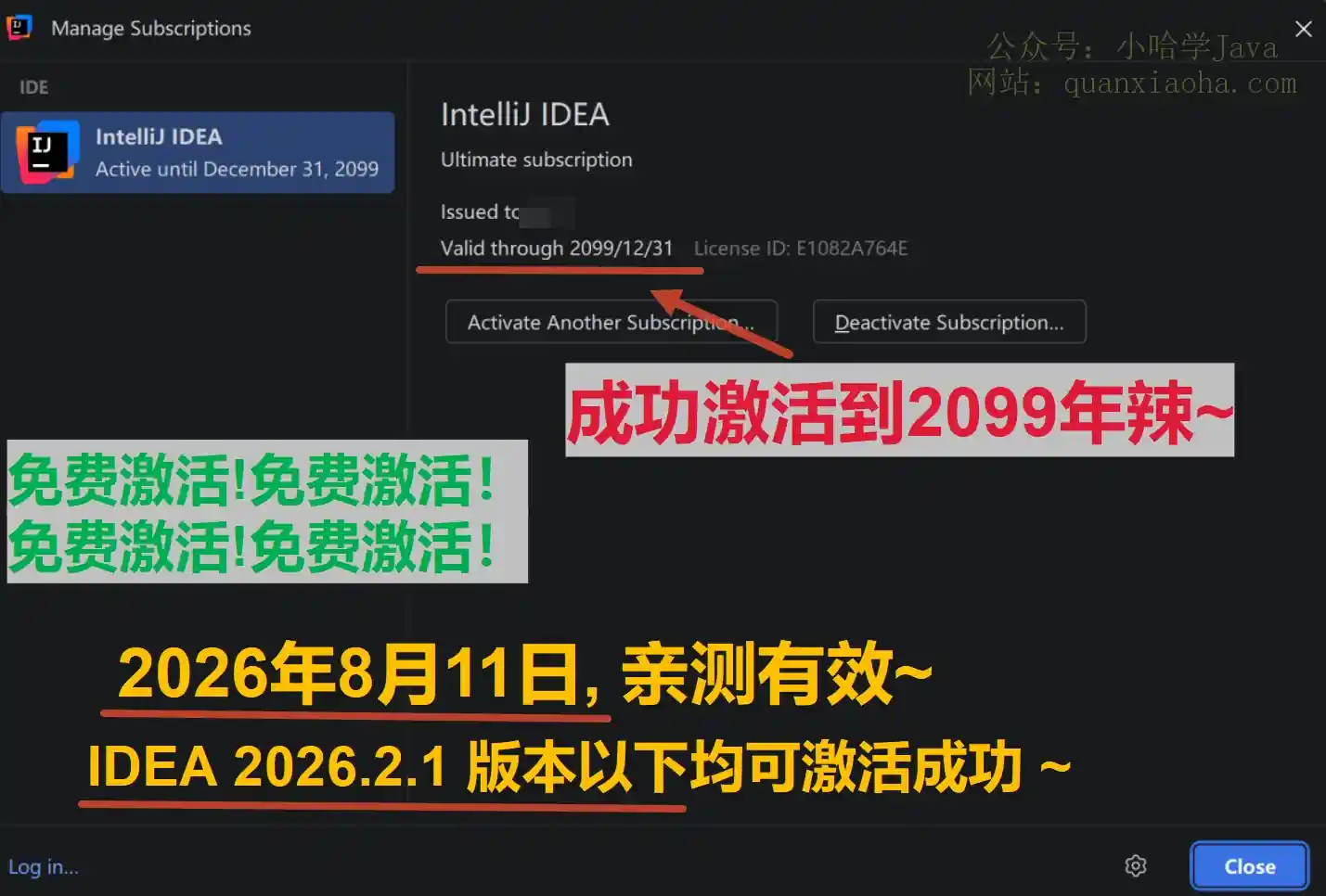 IDEA 2026.2.1 版本成功激活到 2099 年截图