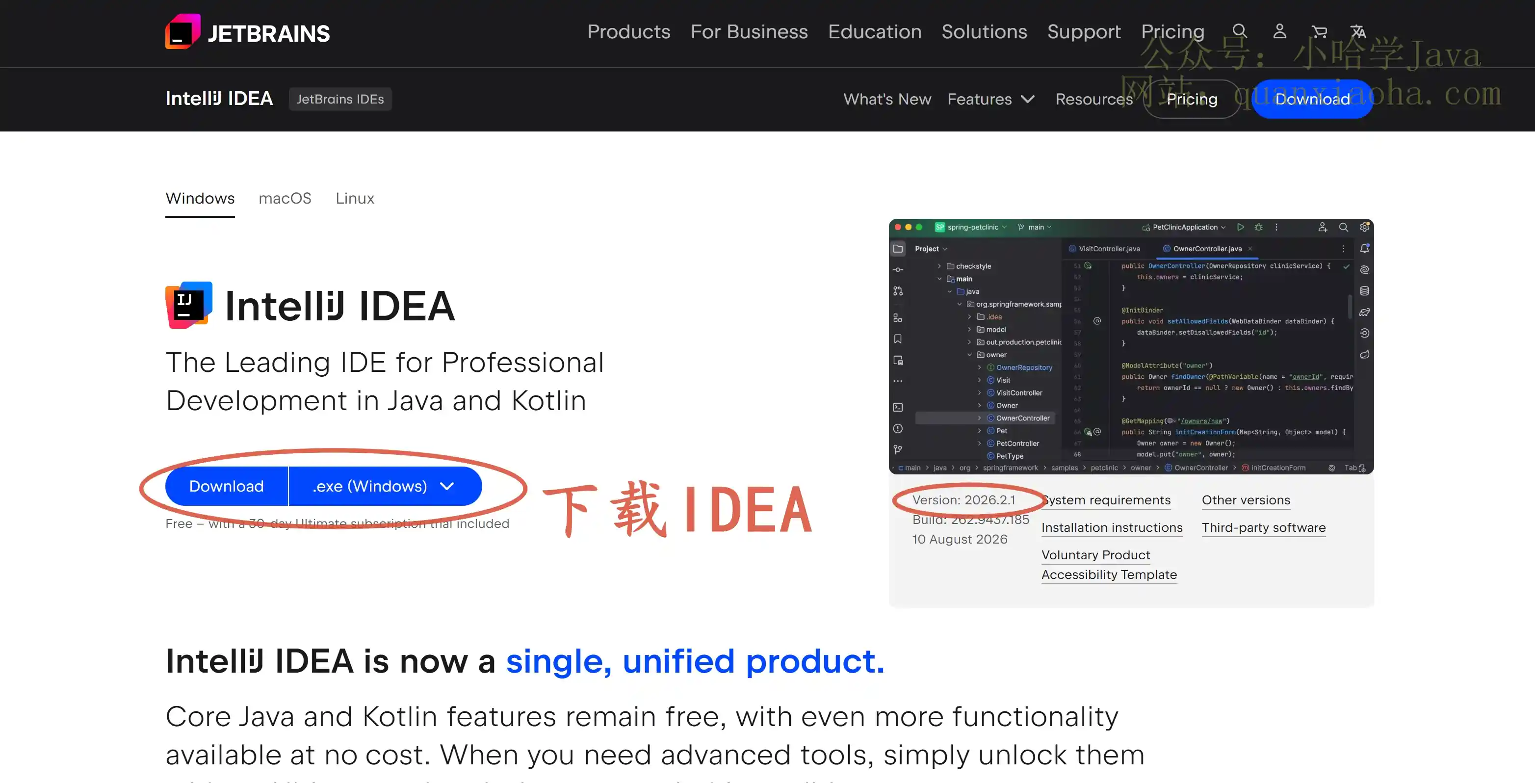 下载 IDEA 2026.2.1 版本安装包