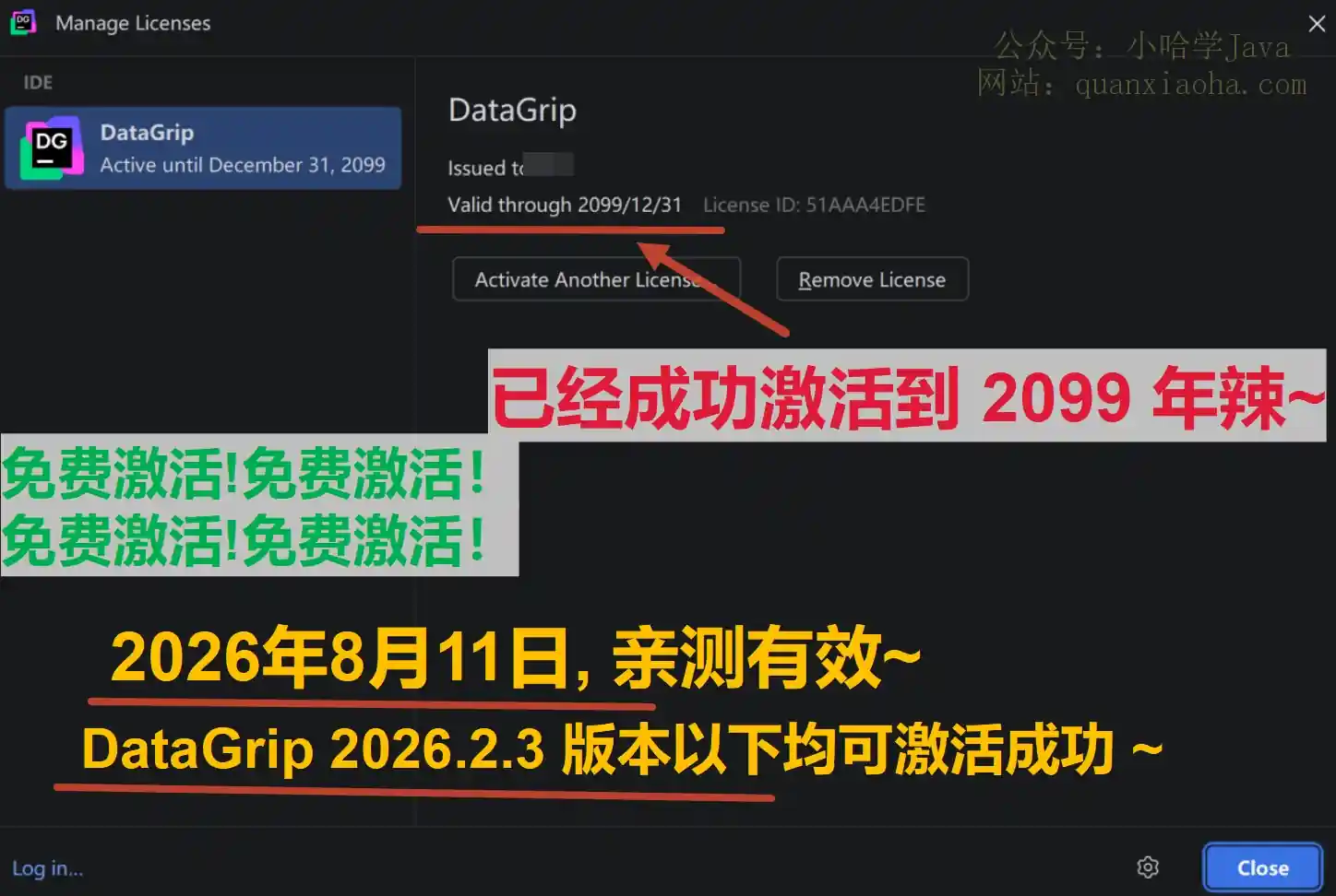 DataGrip 2026.2.3 版本成功激活到 2099 年截图