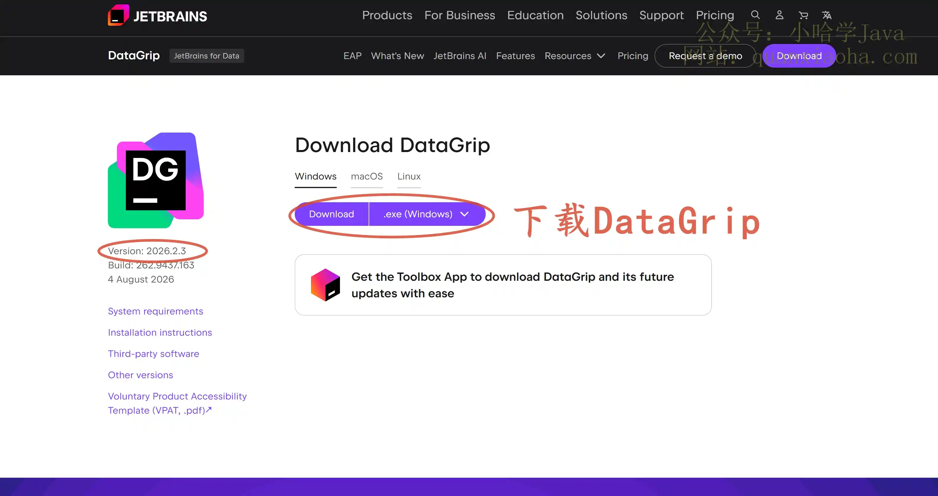 下载 DataGrip 2026.2.3 版本安装包