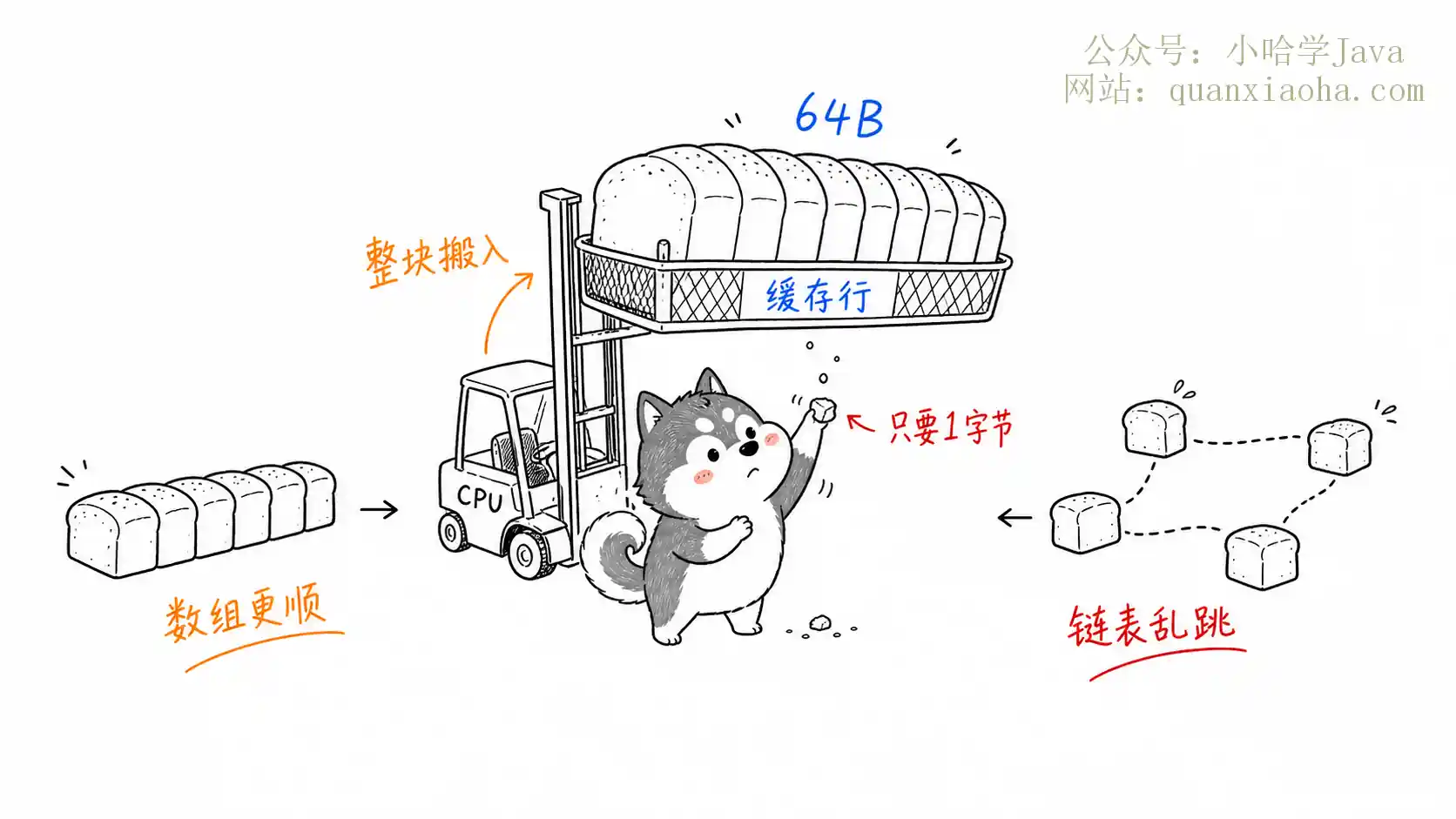 CPU 缓存行加载