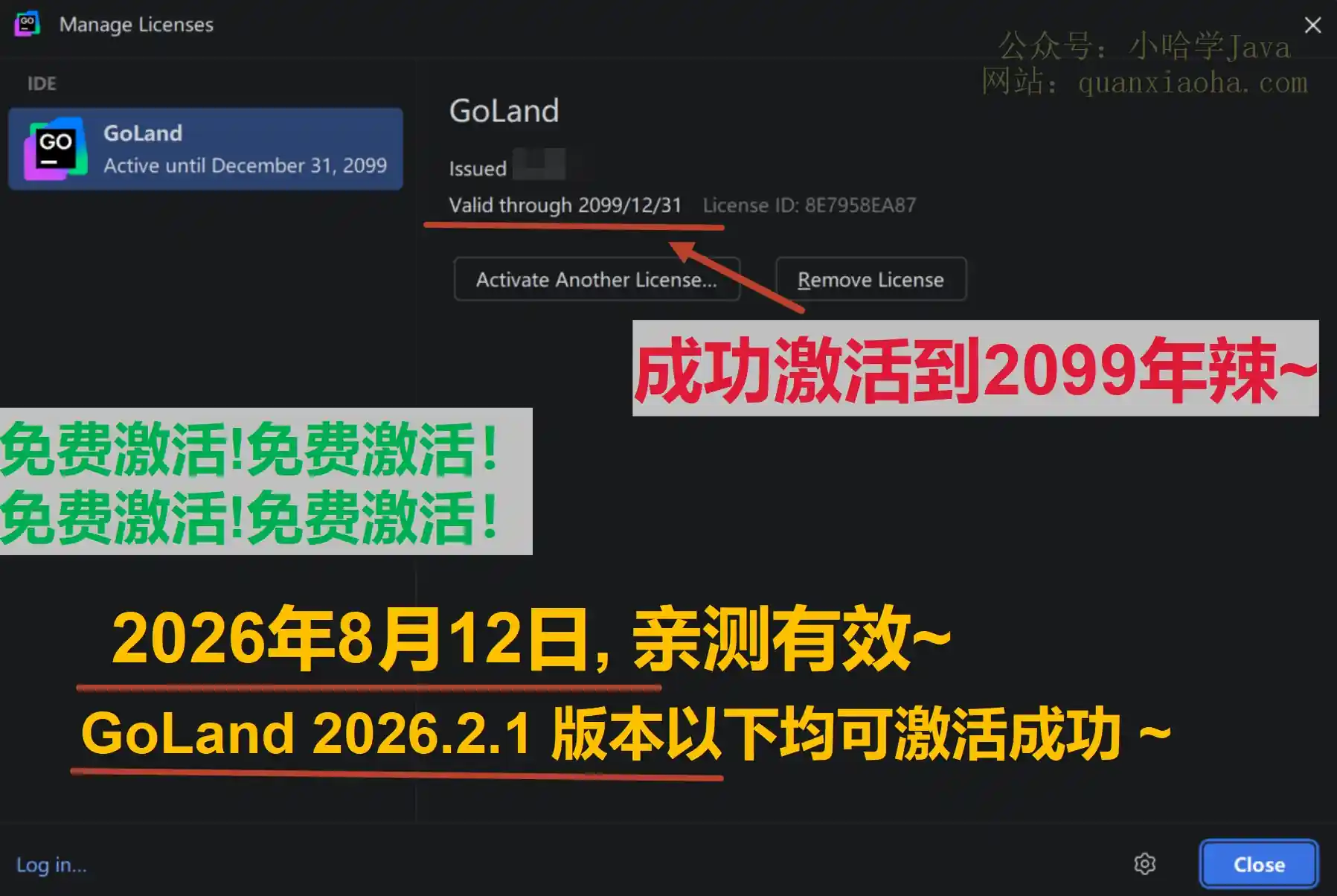 GoLand 2026.2.1 版本成功截图