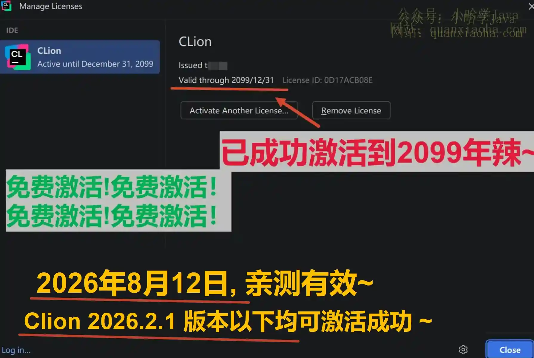 Clion 2026.2.1 版本成功截图