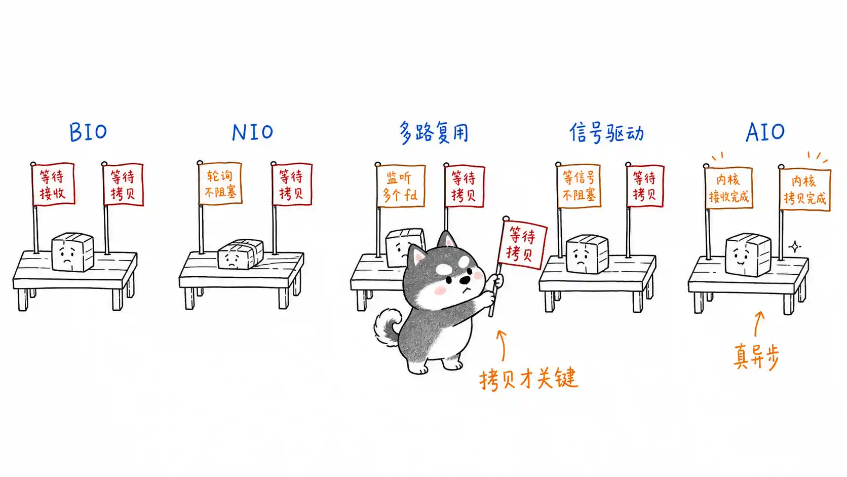 IO 模型阻塞点
