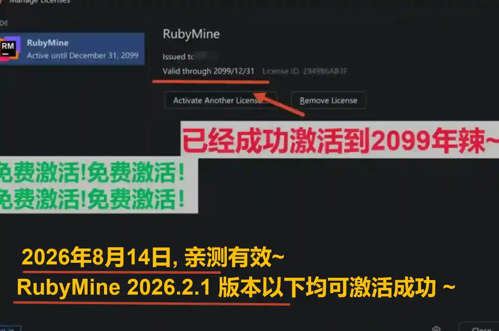 RubyMine 2026.2.1 版本成功截图