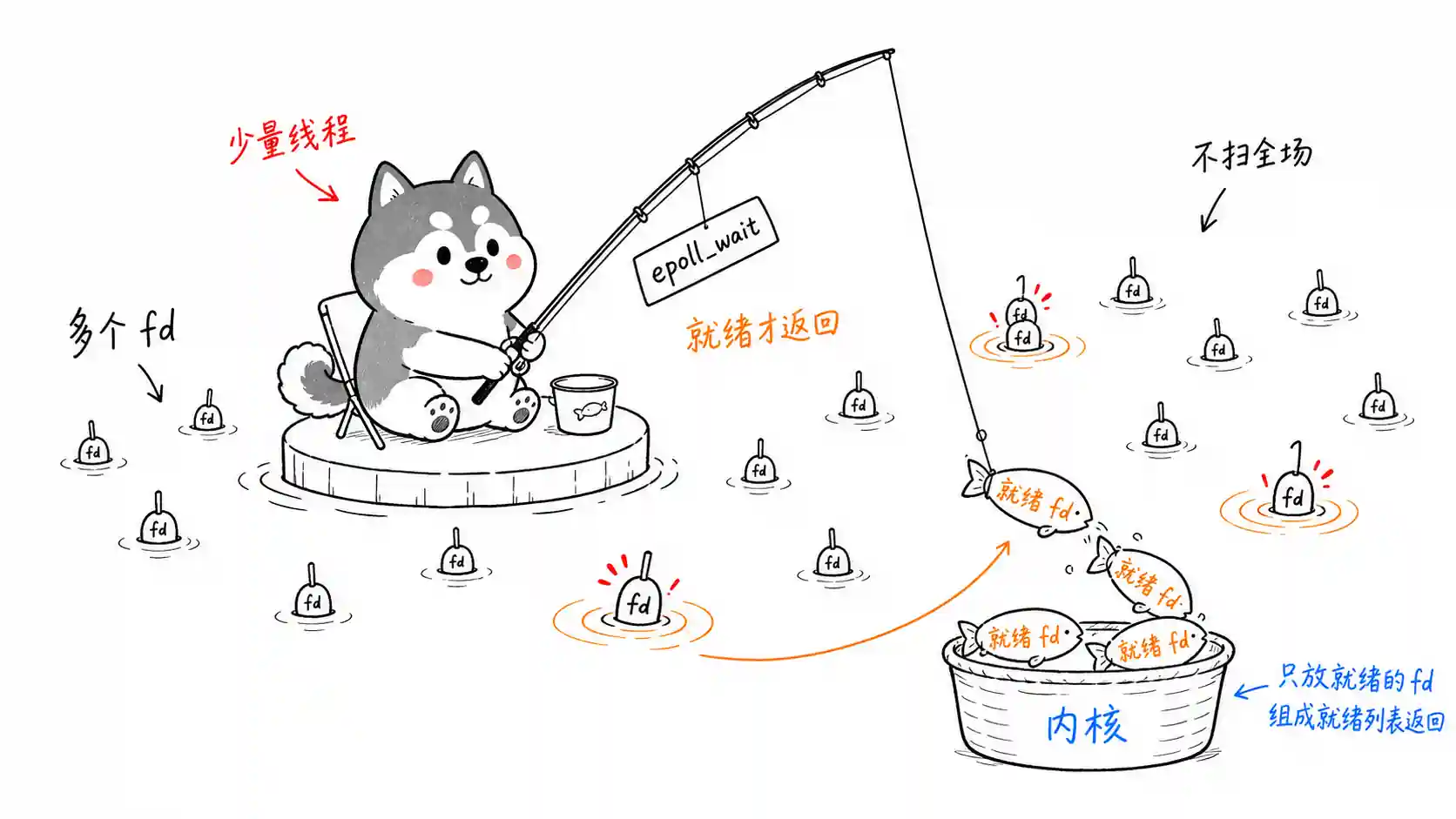 epoll 就绪 fd