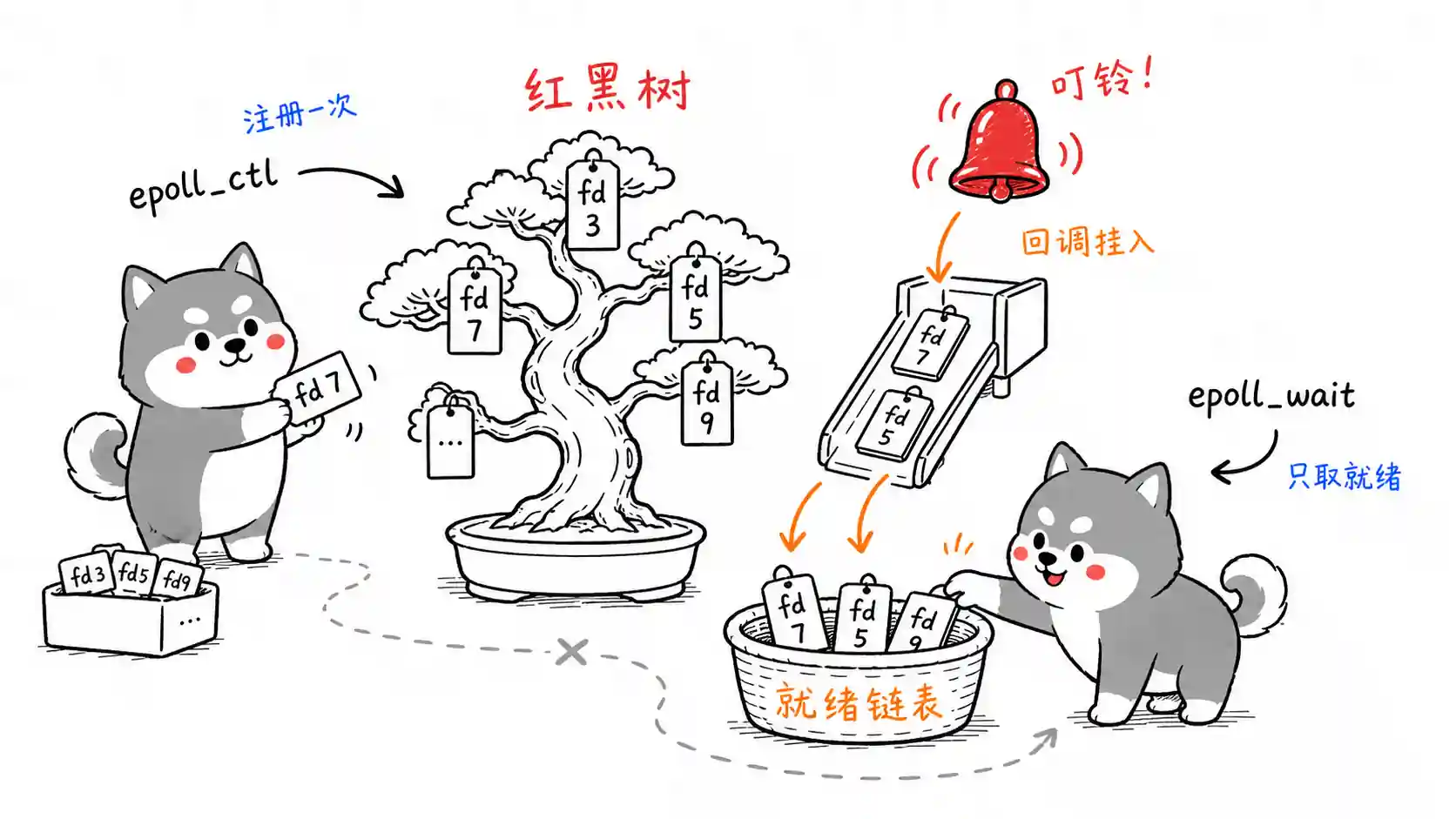 epoll 就绪链表