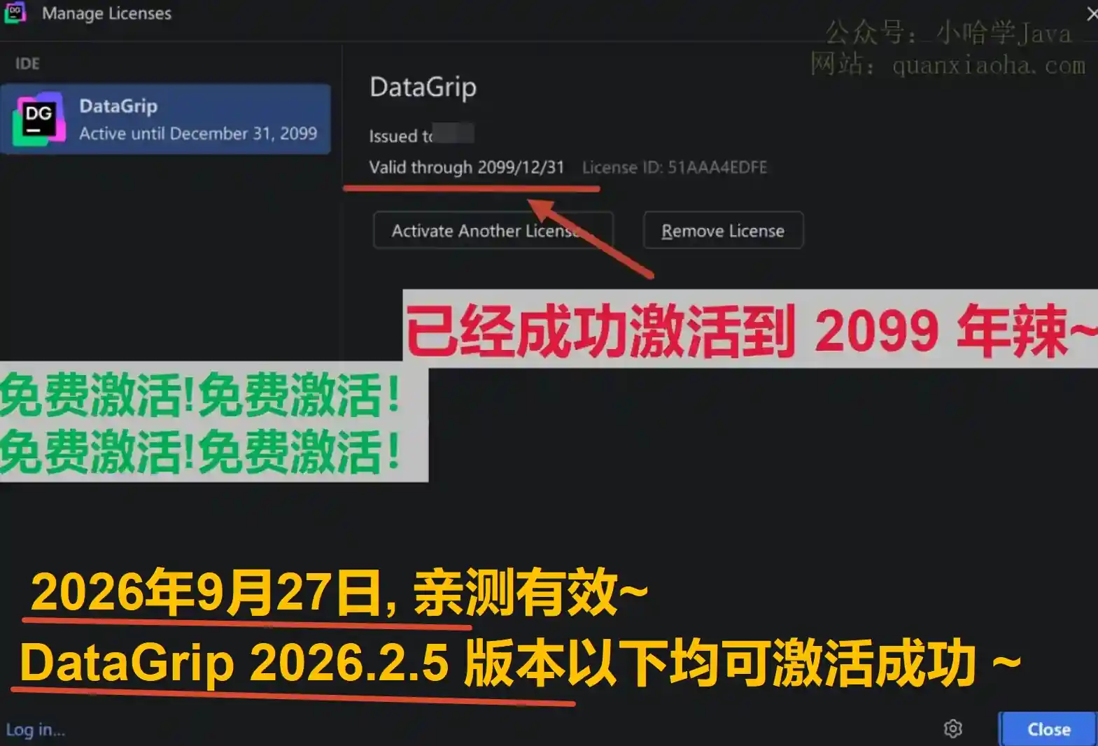 DataGrip 2026.2.5 版本成功激活到 2099 年截图