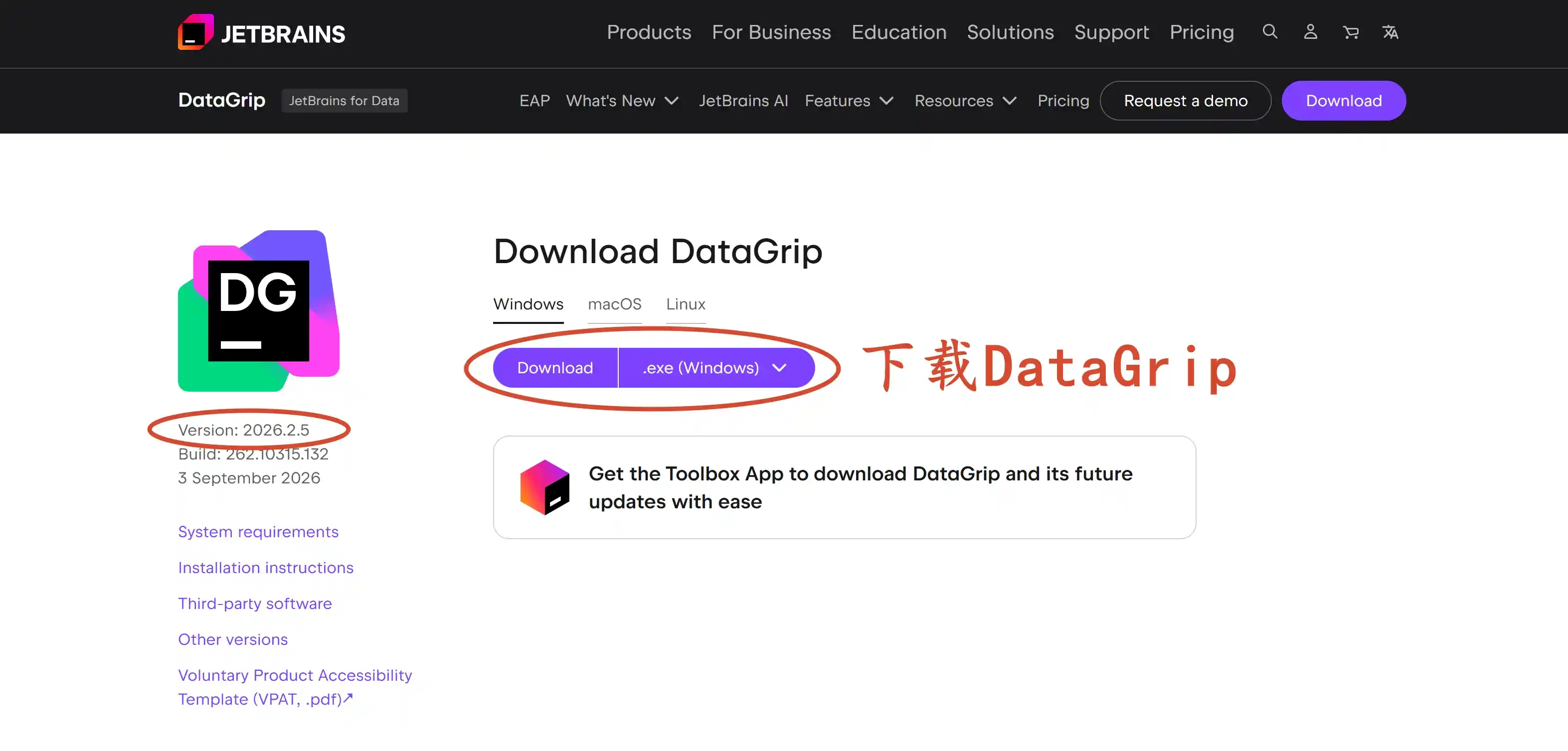 下载 DataGrip 2026.2.5 版本安装包