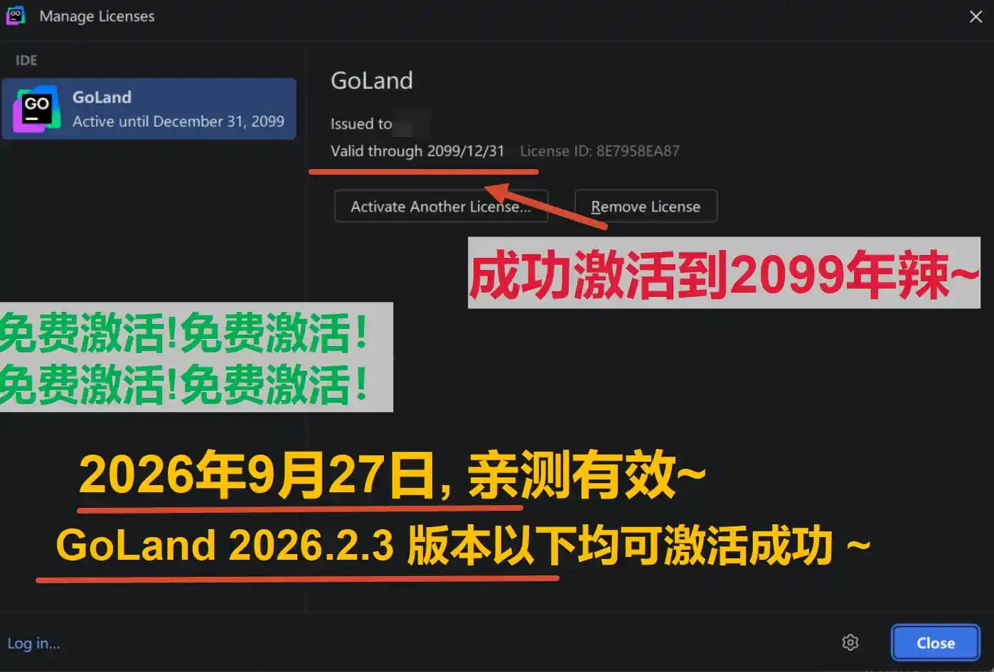 GoLand 2026.2.3 版本成功截图