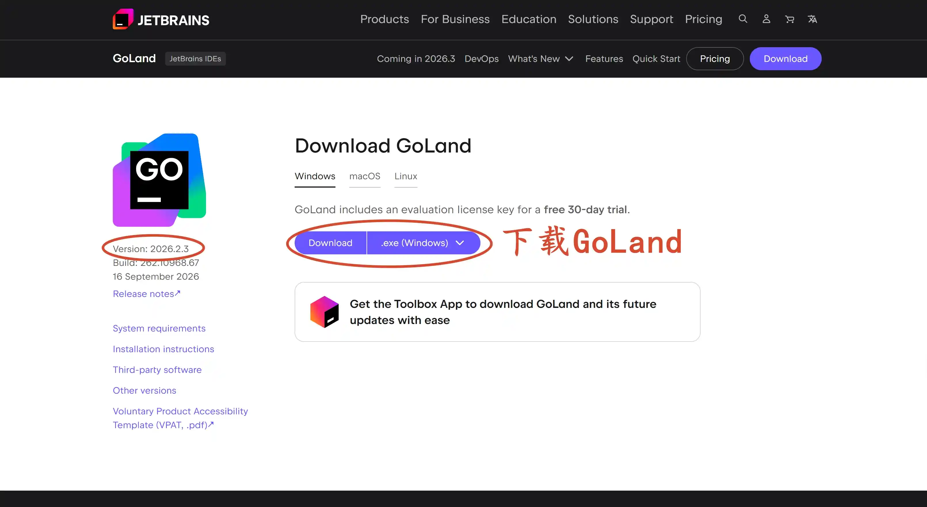 下载 GoLand 2026.2.3 版本安装包