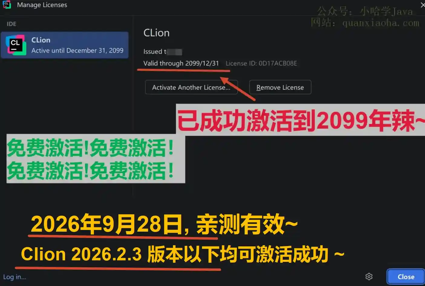Clion 2026.2.3 版本成功截图