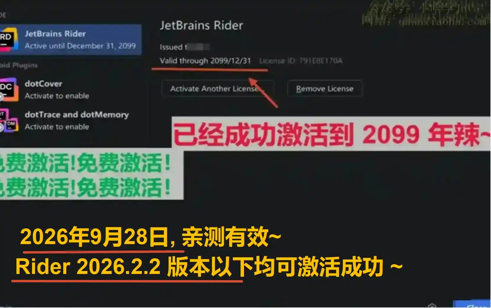 Rider 2026.2.2 版本成功截图