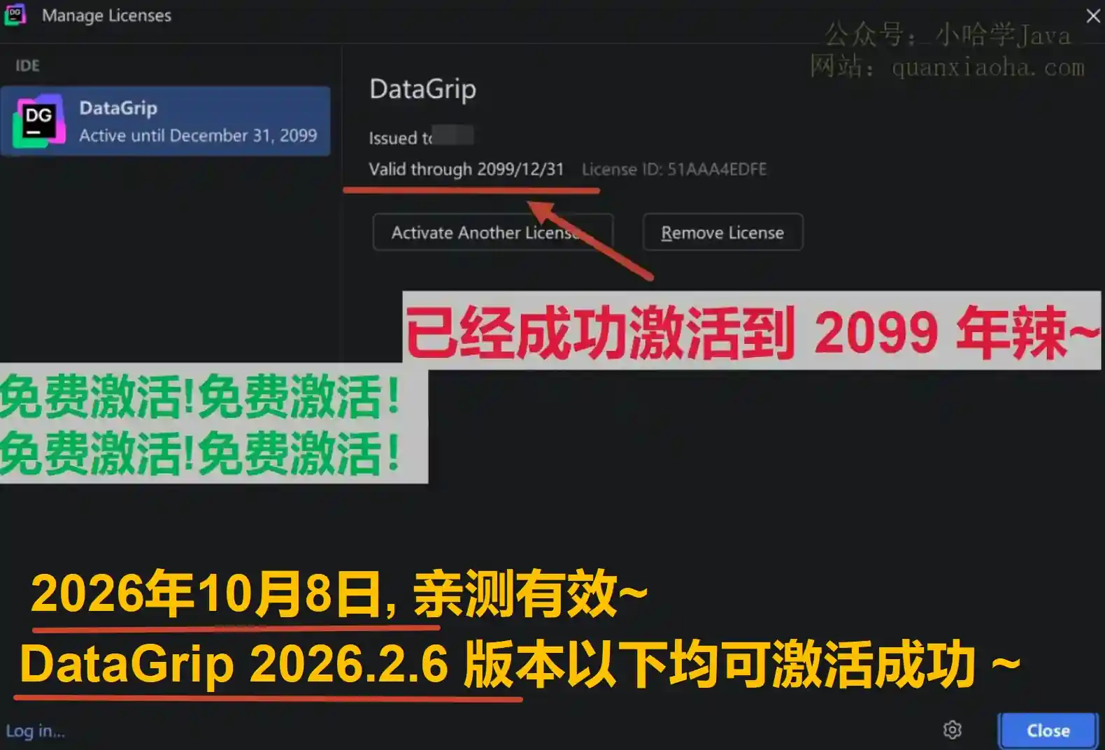 DataGrip 2026.2.6 最新激活码,破解版安装教程（亲测至2099年~）