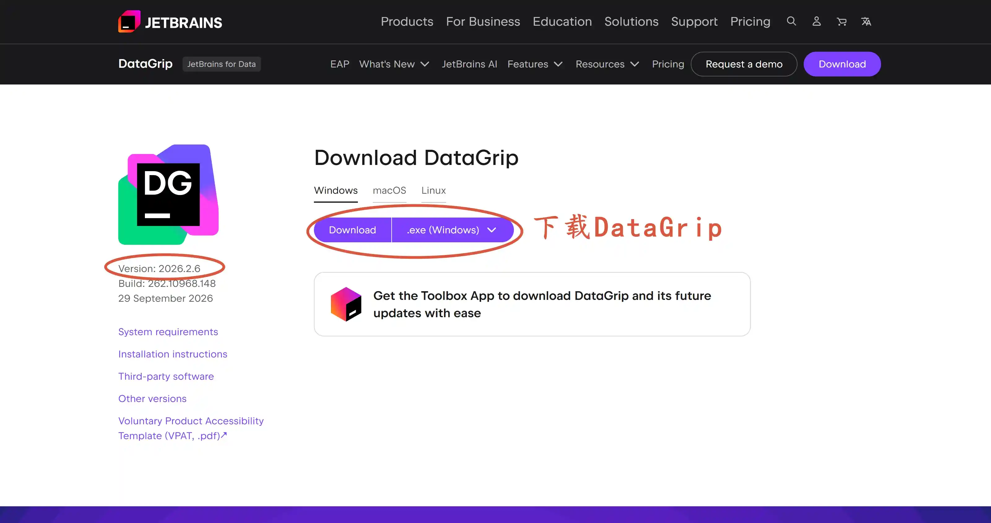 下载 DataGrip 2026.2.6 版本安装包