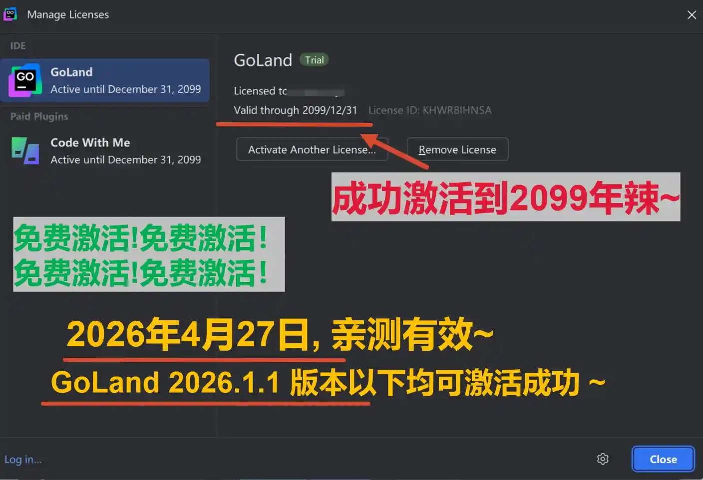 GoLand 2026.1.1 版本成功截图